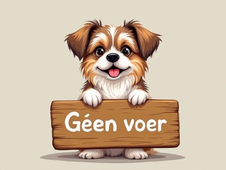 Waarom gapen honden zo veel? Ontdek waarom je hond gaapt!