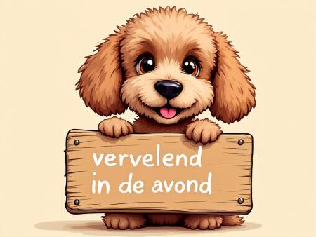 Waarom begroet je hond je met een speeltje bij thuiskomst?