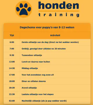 puppy uitlaatschema dagindeling 12 weken
