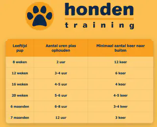 Pup uitlaatschema overzicht