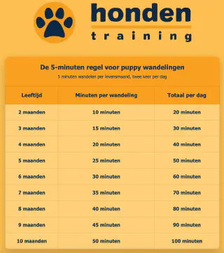 puppy uitlaatschema 5 minuten regel voorbeeld